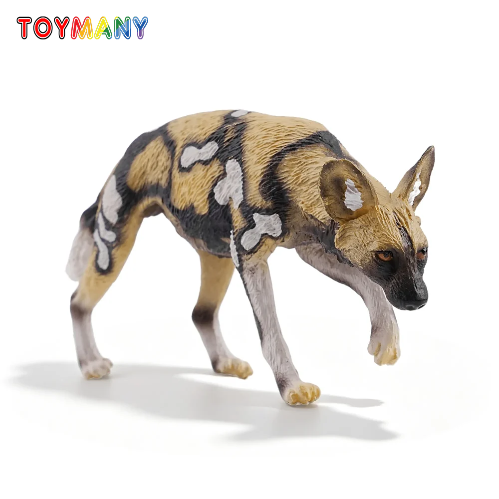 Kids Toys Dog - Игрушка Toymany: Модель африканской дикой собаки,